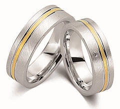 Ringe Gold & Silber
