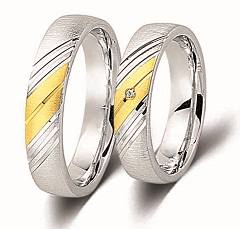 Ringe Gold & Silber