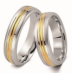Ringe Gold & Silber