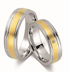 Ringe Gold & Silber
