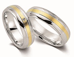 Ringe Gold & Silber